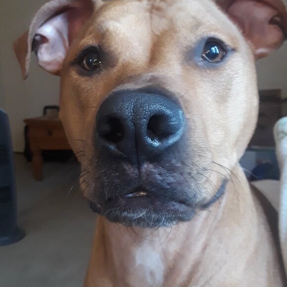 BigToastMalone - Picture 3 of 5